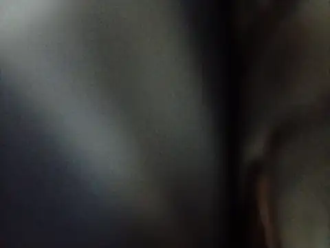 agustinosemperfi 网络视讯表演