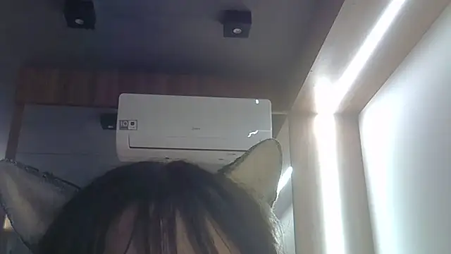 Show de webcam de SkinnyKitten