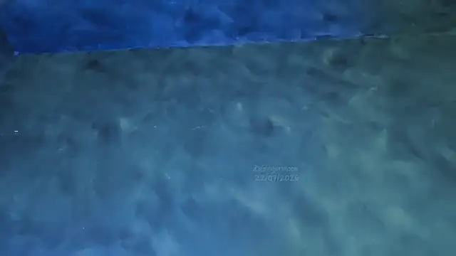 Онлайн чат XXX GingerMoon_