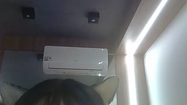 Show de webcam de SkinnyKitten