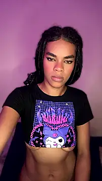 Show modela MIMICAMM na web-kameri