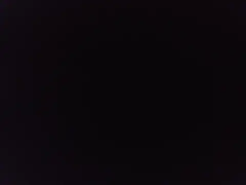 Show de WiseDi na webcam