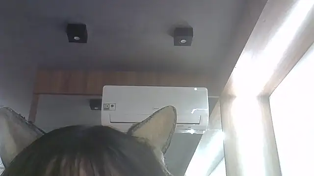 SkinnyKitten Show Webcam
