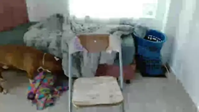 Chat XXX en directo de MadisonCambel