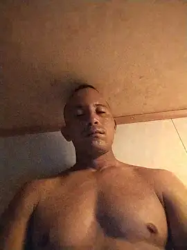 Elcauss 即時 XXX 聊天