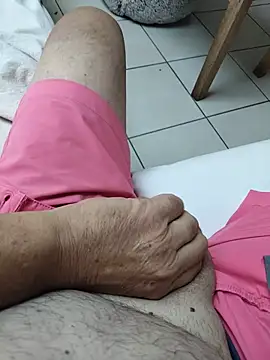 Show Webcam de Corref
