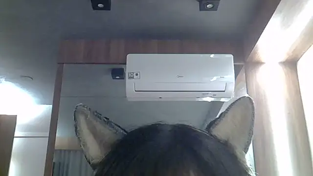 Chat XXX ao vivo de SkinnyKitten