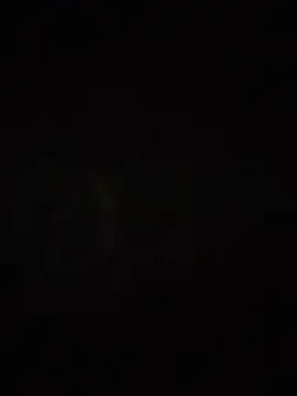 S7LEALTADPERVLIMA7 – Naživo XXX chat