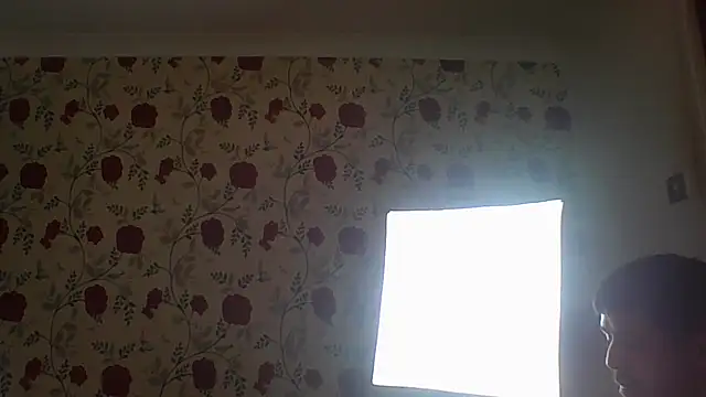 Alfiebangs Webcam show