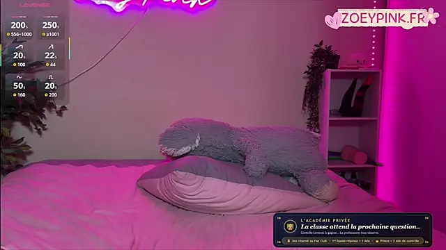 Živý XXX chat zoeypink