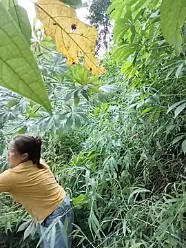 JordanXo_69 现场XXX聊天