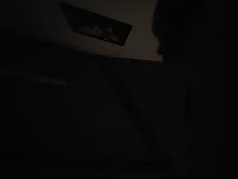 Papien4870n Webbikameraesitys