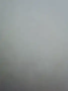 hotnikita's Live Chat Room