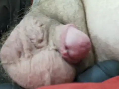 justm68 라이브 XXX 채팅
