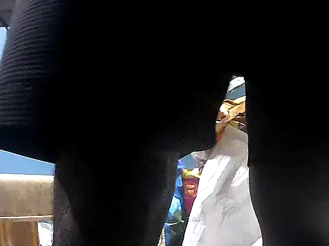 Precumking1 Pertunjukan Webcam