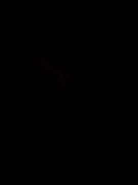-Tara-a 即時 XXX 聊天