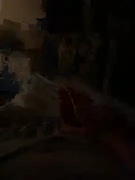 Show webcam de brazybooty92