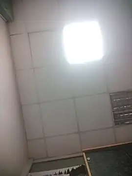 Chat XXX en directo de Lana-murr
