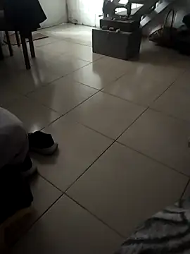 Polltit Webcam Show