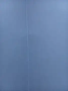SashaFreshy's Live XXX Chat
