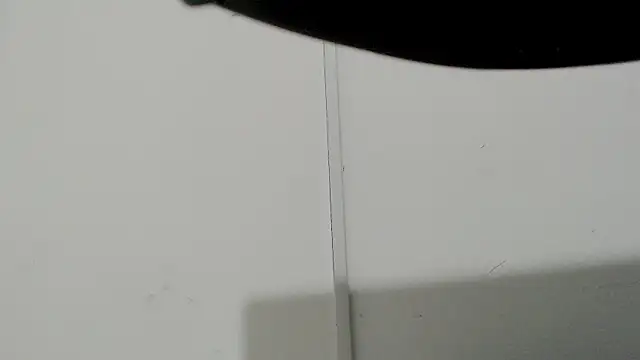 RoySteven Webcam-Show