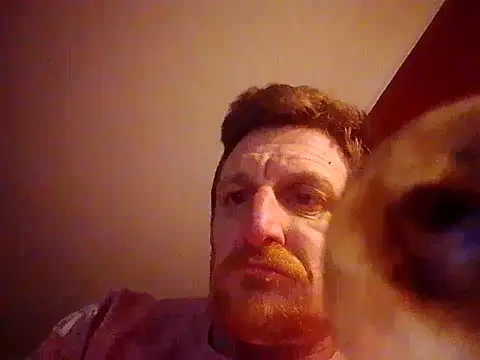 Webkamerová show LoudDislike