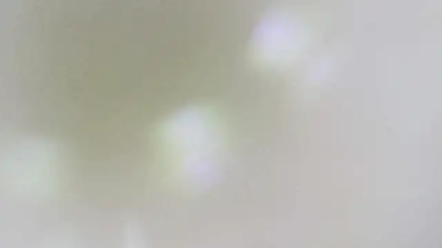 karol_stom's Live XXX Chat