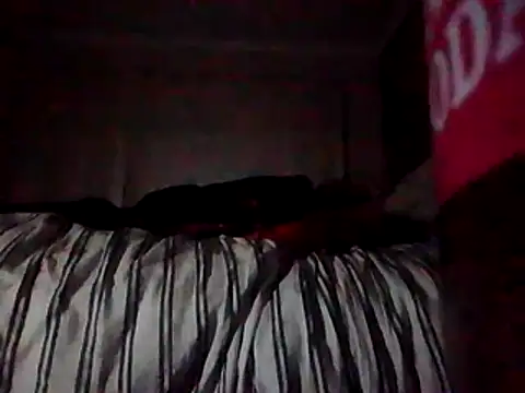 LoudDislike Live XXX Chat