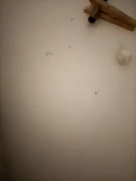lexiflexxn Webbikameraesitys