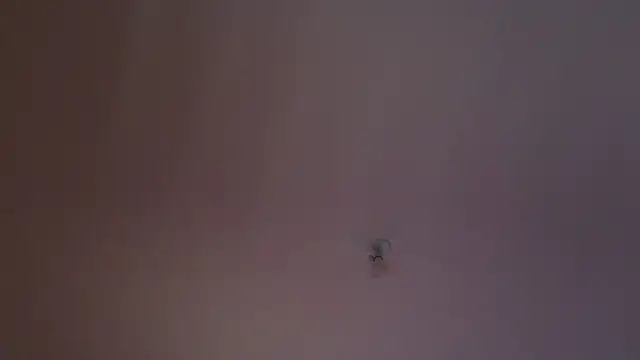 Chat XXX en directo de JordanShow