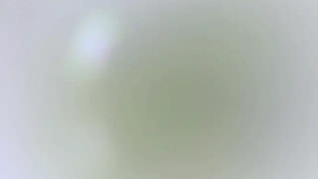 karol_stom's Live XXX Chat