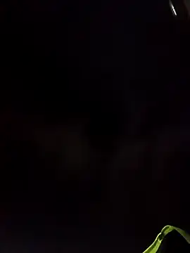 عرض كام adarsh_music