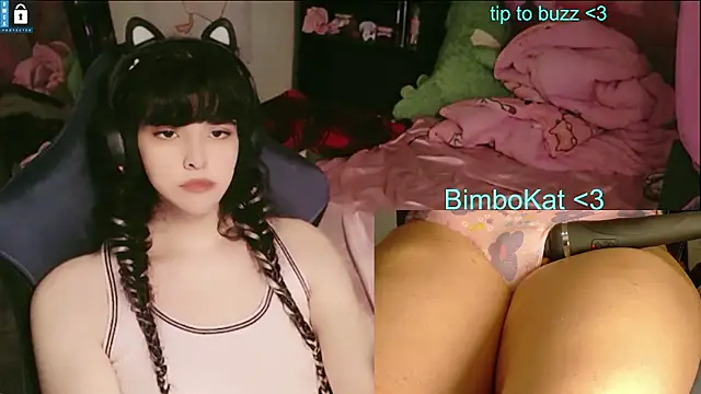 BimboCat Obrolan Langsung XXX