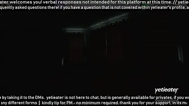 Show Webcam de yetieater