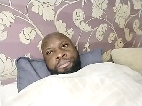 Stallion100 Live XXX-Chat