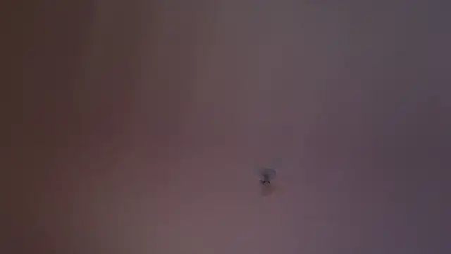 JordanShow Chat XXX live