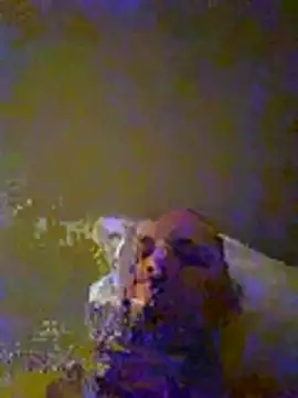 dufatcock – webcam-show