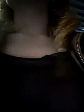Evehamp Webcam-Show