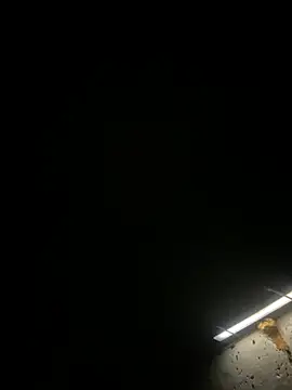 Boysex227's Live XXX Chat