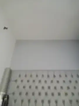 Chatroom XXX en direct de amara_huxly