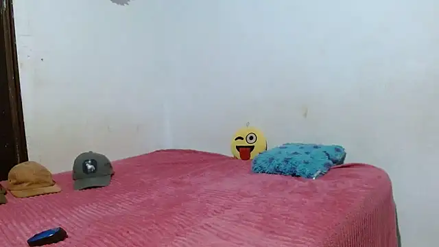 Show webcam de sk8-sir