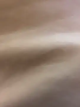 kiss_loo 现场XXX聊天