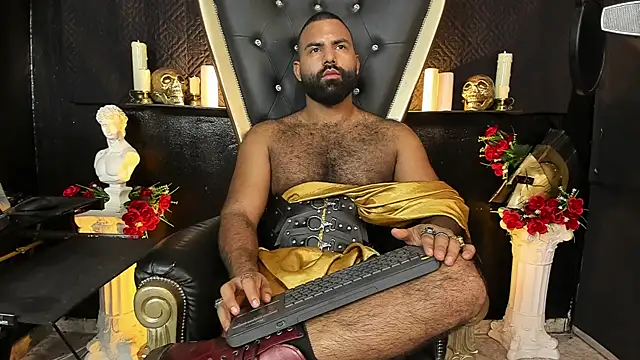BeardAndrew Show Webcam