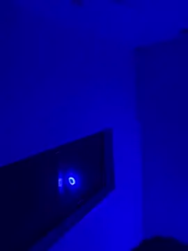 Chat XXX en directo de Sweet_Orange