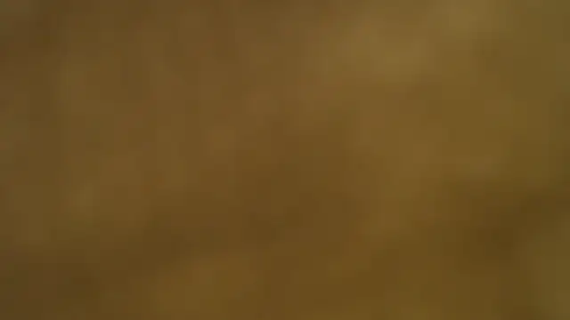 Amy66 Chat XXX live