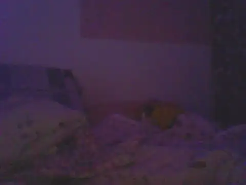 Chat XXX Live Bebita-zmp