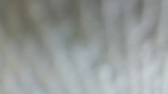 StarinThecloudz's Live XXX Chat