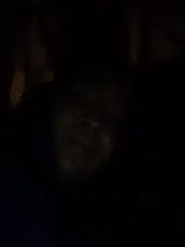 Živý XXX chat Zoe_aylor