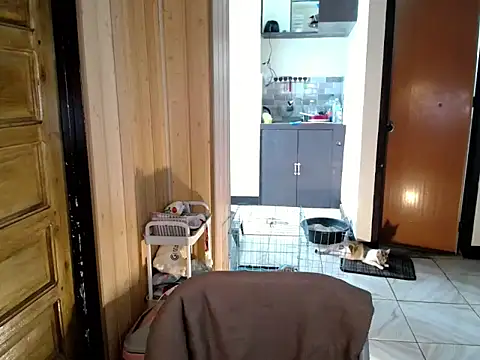 Show de jakoloten na webcam