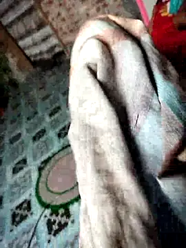 Chat XXX en directo de mdNajmus69